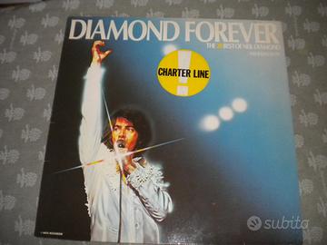 Disco vinile 33 giri