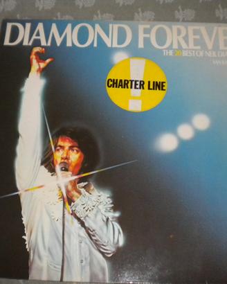 Disco vinile 33 giri