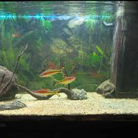 Acquario 200 litri completo