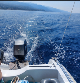 Barca con motore 40 cavalli