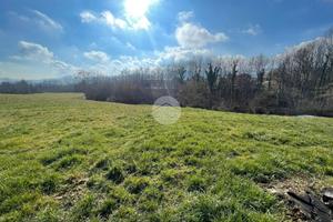 TER. AGRICOLO A GIAVENO