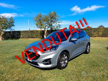Ford Kuga 1.5 EcoBlue 120 CV ST-Line