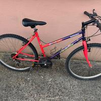 Bicicletta