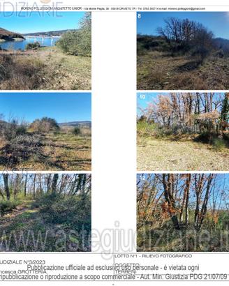 Terreno Agricolo Baschi [A4313812]