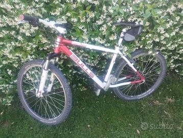 MTB Bulls