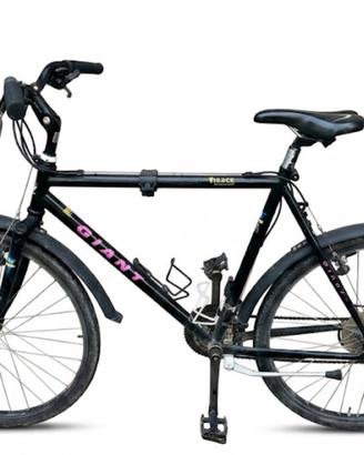Bicicletta sportiva GIANT