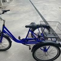 Bici elettrica tre ruote Casadei