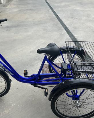 Bici elettrica tre ruote Casadei