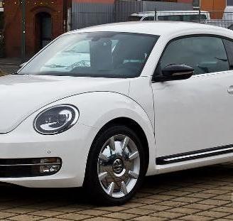 Parabrezza VW Maggiolino dal 2011 in poi