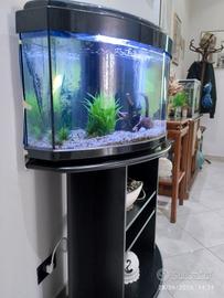 Acquario 100 litri con mobile 