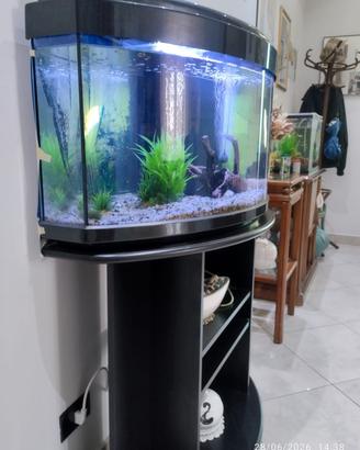 Acquario 100 litri con mobile 