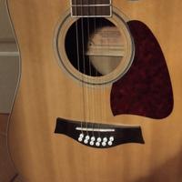 chitarra 12 corde Richwood