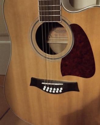 chitarra 12 corde Richwood