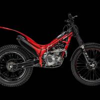 Honda RedMoto Cota 4RT 260 - 2026