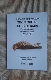 Tassidermia, prep in pelle di un tordo ed 2025
