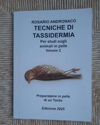 Tassidermia, prep in pelle di un tordo ed 2025