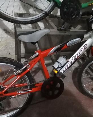 bici montana 