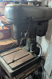 trapano