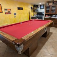 Biliardo artusi riscaldato con copertura