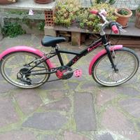 Bicicletta