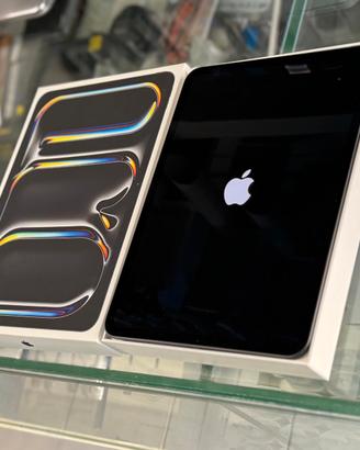 iPad Pro 11" 2024 256GB Nero Wi-Fi-USATO AZIENDALE