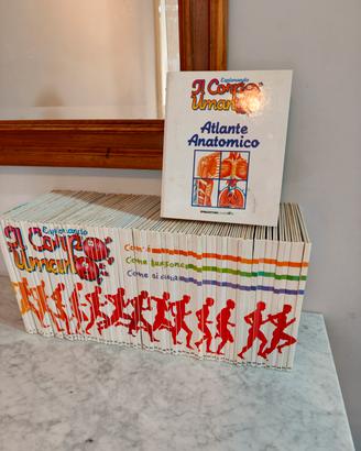 66 libri Esplorando il corpo umano