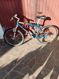 bicicletta 