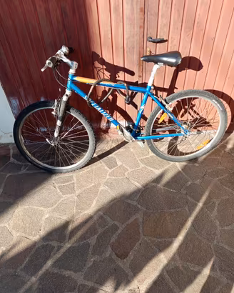 bicicletta 