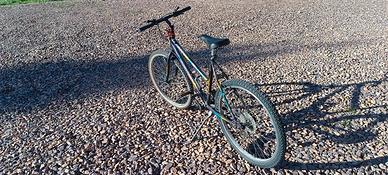 Bici Mountain Bike da ragazzo