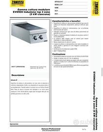 Piastra ad induzione portatile