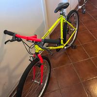 Mtb muscolare