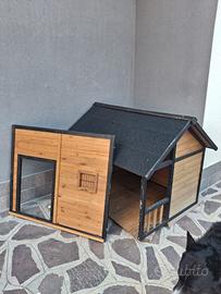 casetta per cani 