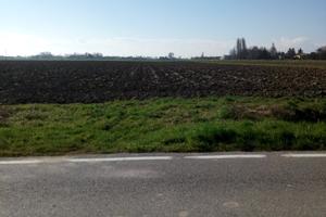 Terreno edificabile Quistello (MN)