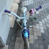 Bici frozen