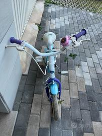 Bici frozen