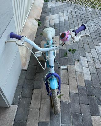 Bici frozen