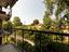 Immagine 13