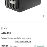 TRASPORTINO X CANI