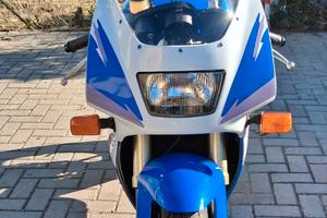 Suzuki rgv gamma 250