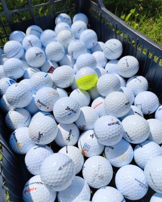 100 Srixon Mix palline da golf
