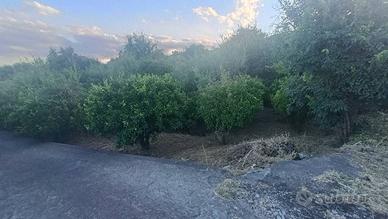 Terreno di 7000 m² a Piedimonte Etneo