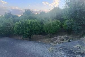 Terreno di 7000 m² a Piedimonte Etneo