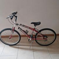 Bicicletta ragazzo 24 pollici