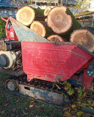 Motocariole Hinowa DIESEL revisionata e ALTRA....