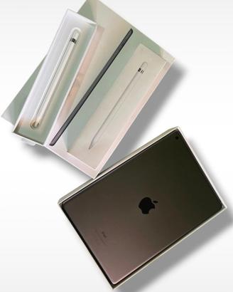 Apple iPad gª generazione 256 GB ape