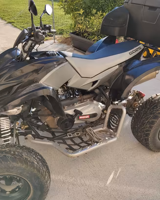 Quad Goes 350 S (Aeon Cobra)
