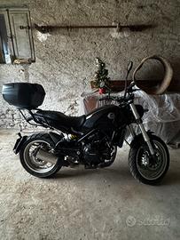 benelli leoncino 500 trail