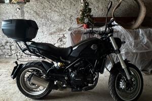 benelli leoncino 500 trail