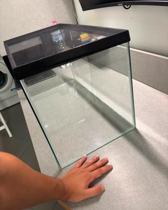 Gabbia o terrario