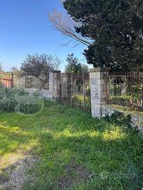 Terreno Agricolo Ostuni [Cod. rif 3299889VCG]